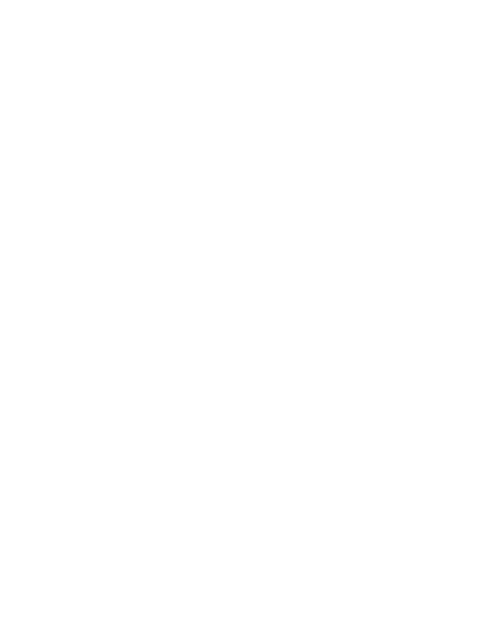 Badi logo